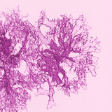 Astaxanthin