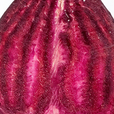 CoQ10